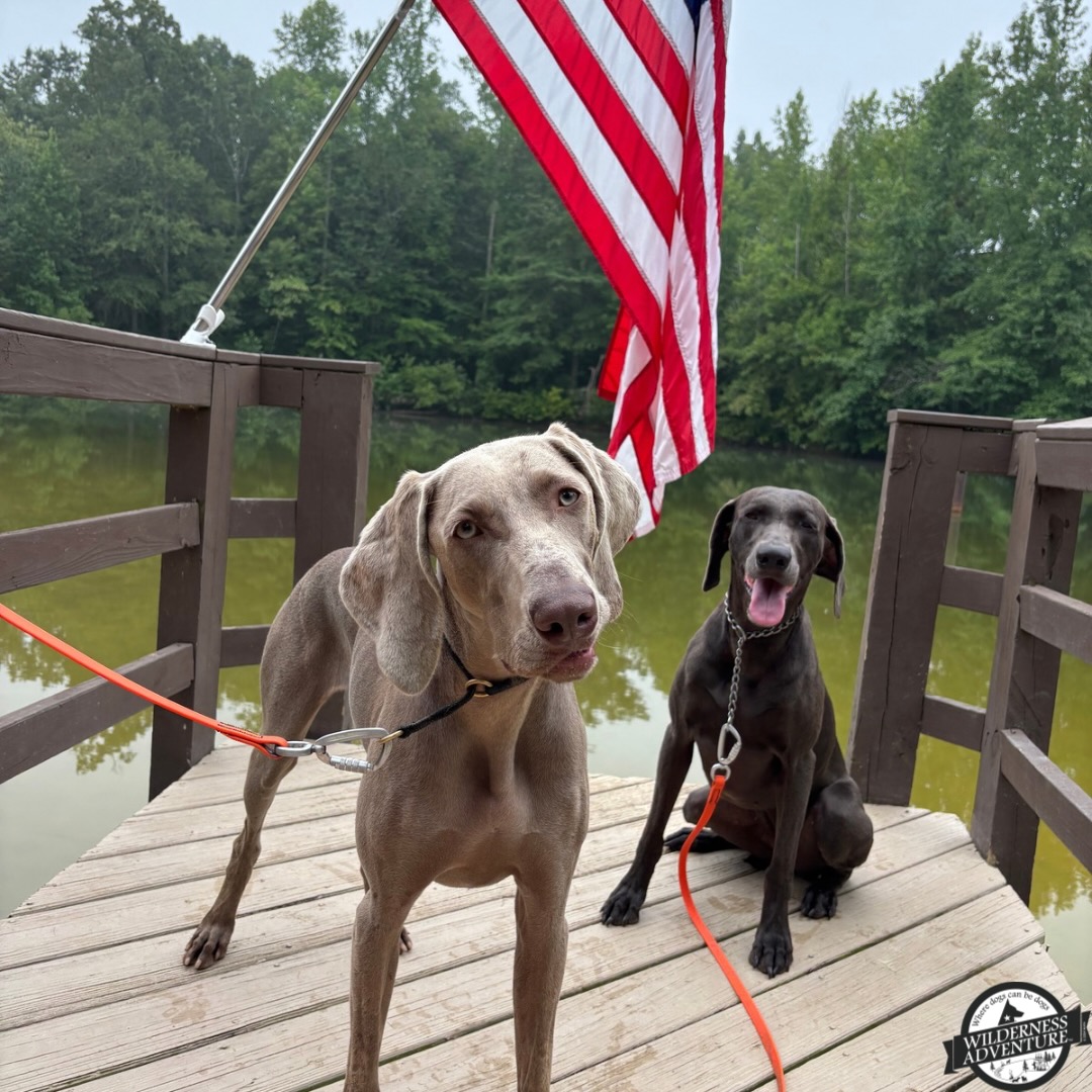 Juliette and Nora on a lakeside dock